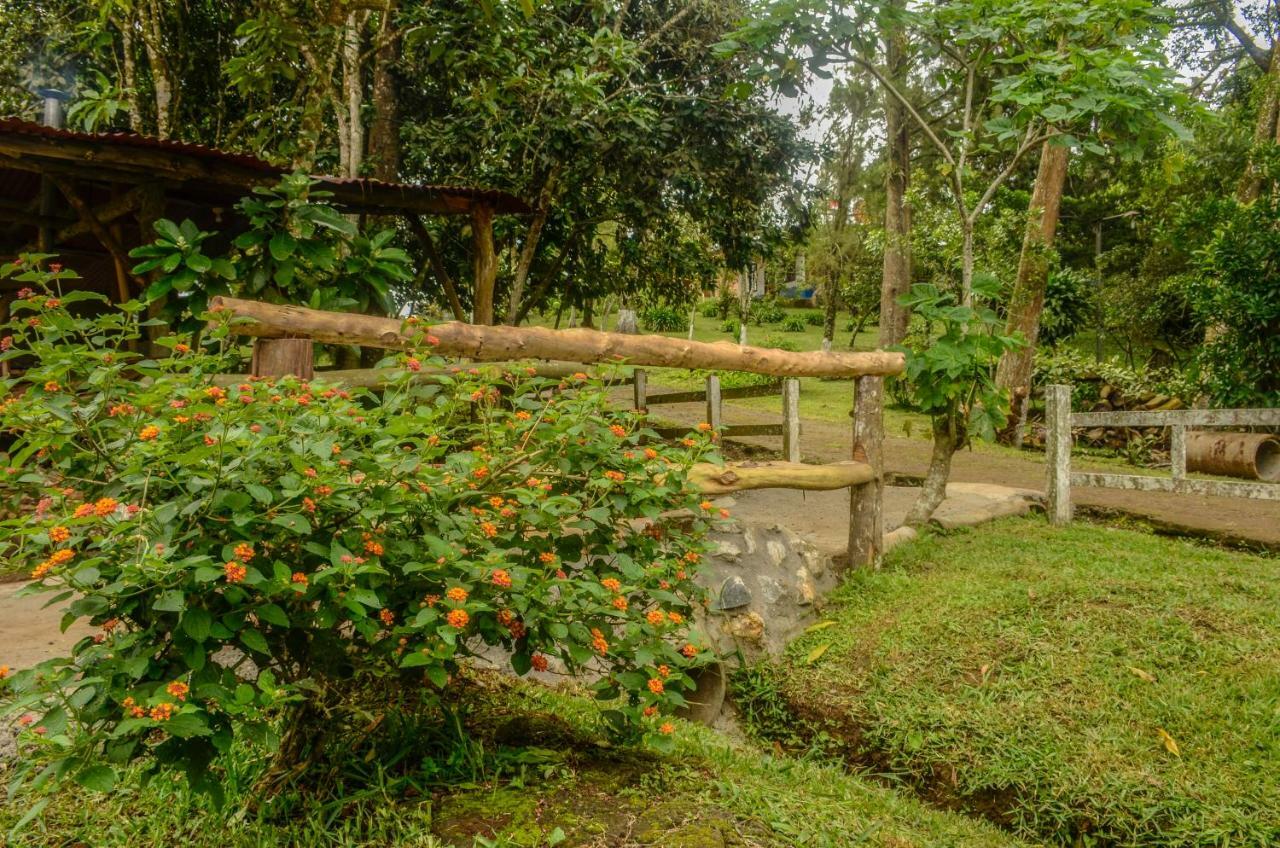 Batsu Ecolodge & Coffee Farm San Ramón Dış mekan fotoğraf